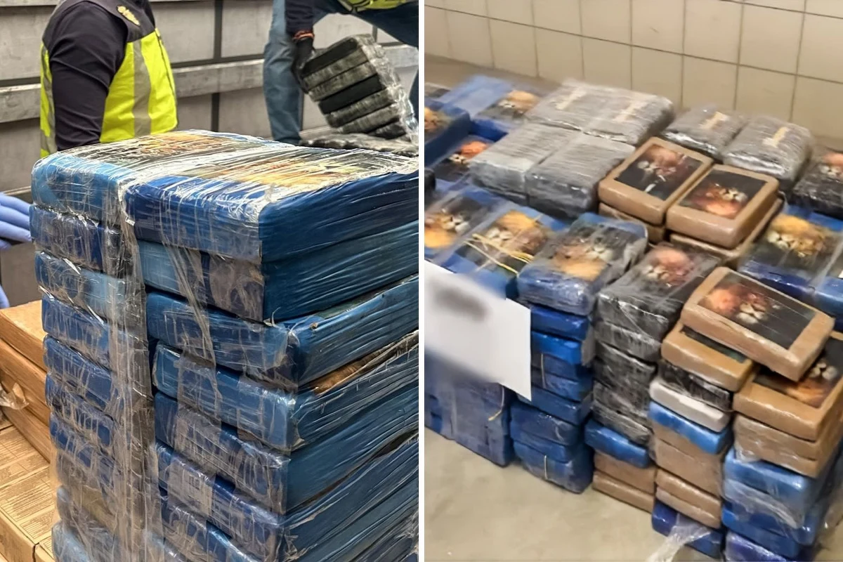 Ponad 1300 kilogramów kokainy wykryto w dwóch polskich ciężarówkach skontrolowanych w Hiszpanii i we Francji. Podczas międzynarodowej akcji Centralnego Biura Śledczego Policji, a także francuskich i hiszpańskich służb zatrzymano obywatela naszego kraju. 