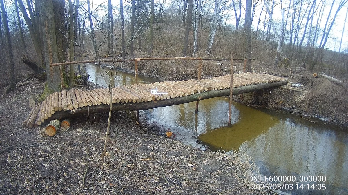 Nielegalny mostek przez rzekę Czarną, przepływającą przez rezerwat Puszcza Słupecka, odkryli strażnicy leśni z Nadleśnictwa Drewnica na Mazowszu. Na razie nie ustalono, kto i w jakim celu go zbudował. 