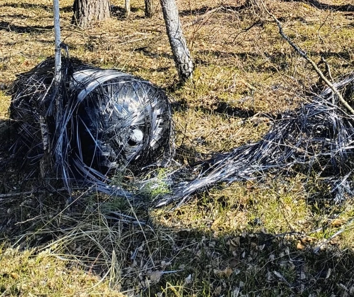 W Wielkopolsce najprawdopodobniej znaleziono dziś kolejny fragment rakiety Falcon 9 - informuje dziennikarz RMF FM Beniamin Kubiak-Piłat. Odnaleziony zbiornik, jak przekazała policja, został zbadany i zabezpieczony przez Polską Agencję Kosmiczną. Służby zakończyły już działania w Krzyżkówku (powiat międzychodzki), gdzie leśniczy odnalazł tajemniczy obiekt. W tym rejonie w ciągu ostatniego miesiąca znaleziono pięć fragmentów rakiety należącej do SpaceX.
