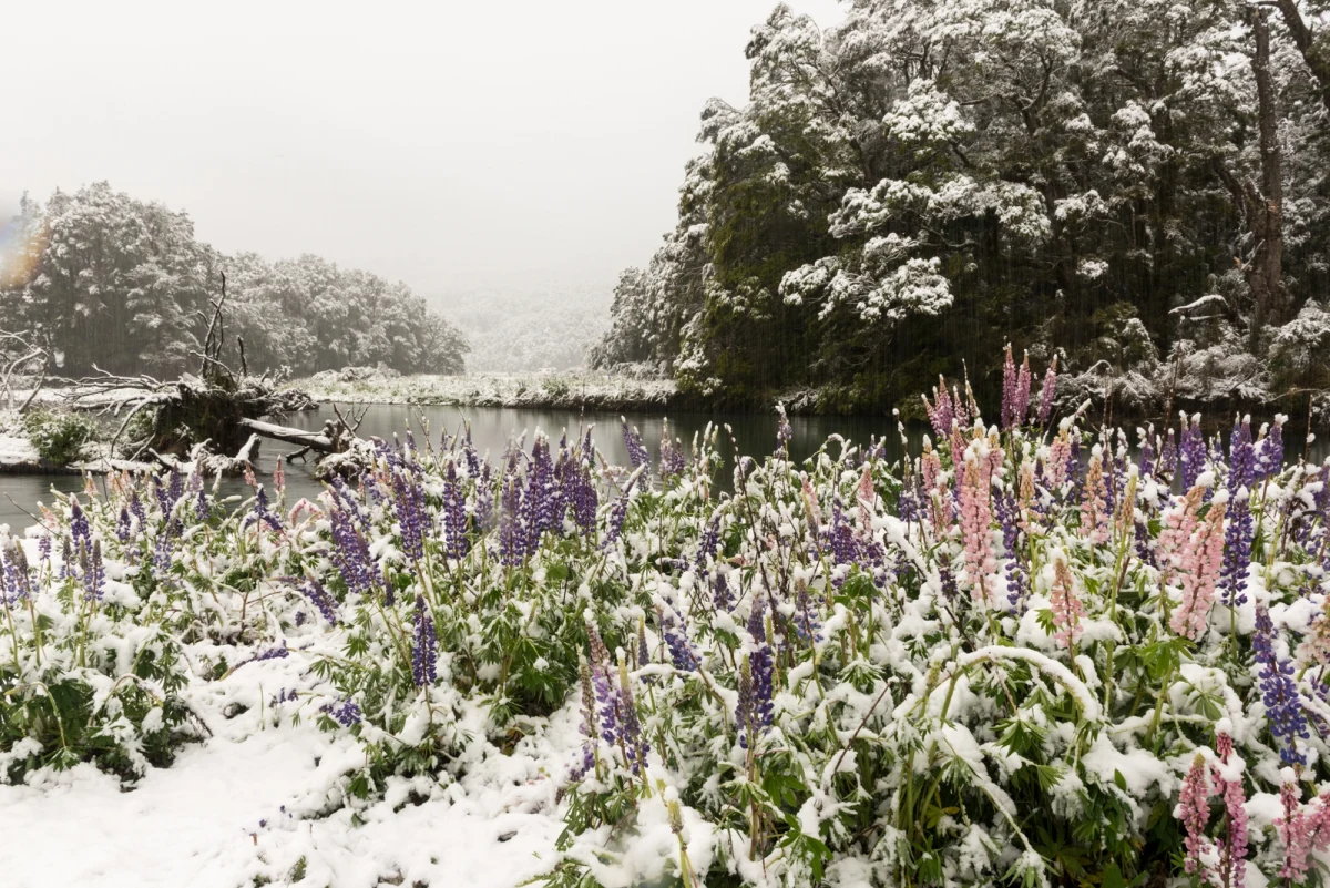 ​Instytut Meteorologii i Gospodarki Wodnej (IMGW) wydał w poniedziałek ostrzeżenia meteorologiczne, które dotyczą zarówno przymrozków, jak i burz w różnych częściach Polski. Mieszkańcy ośmiu województw muszą przygotować się na niskie temperatury, podczas gdy w trzech innych regionach prognozowane są burze.