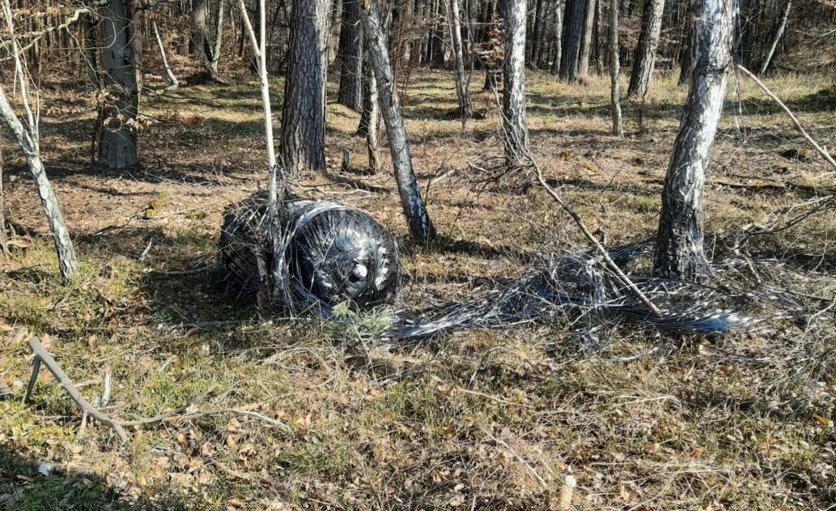 Obiekt znaleziony w lesie w Krzyżkówku, miejscowości położonej około 60 km na zachód od Poznania, może pochodzić z rakiety Falcon 9 firmy SpaceX - poinformowała Polska Agencja Kosmiczna (POLSA). Obiekt został zabezpieczony przez policję i prokuraturę, trwa postępowanie w tej sprawie.
