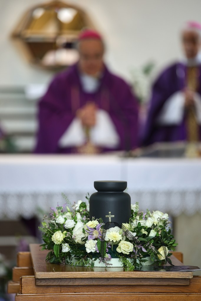 fot. /Łukasz Gągulski / PAP /Łukasz Gągulski