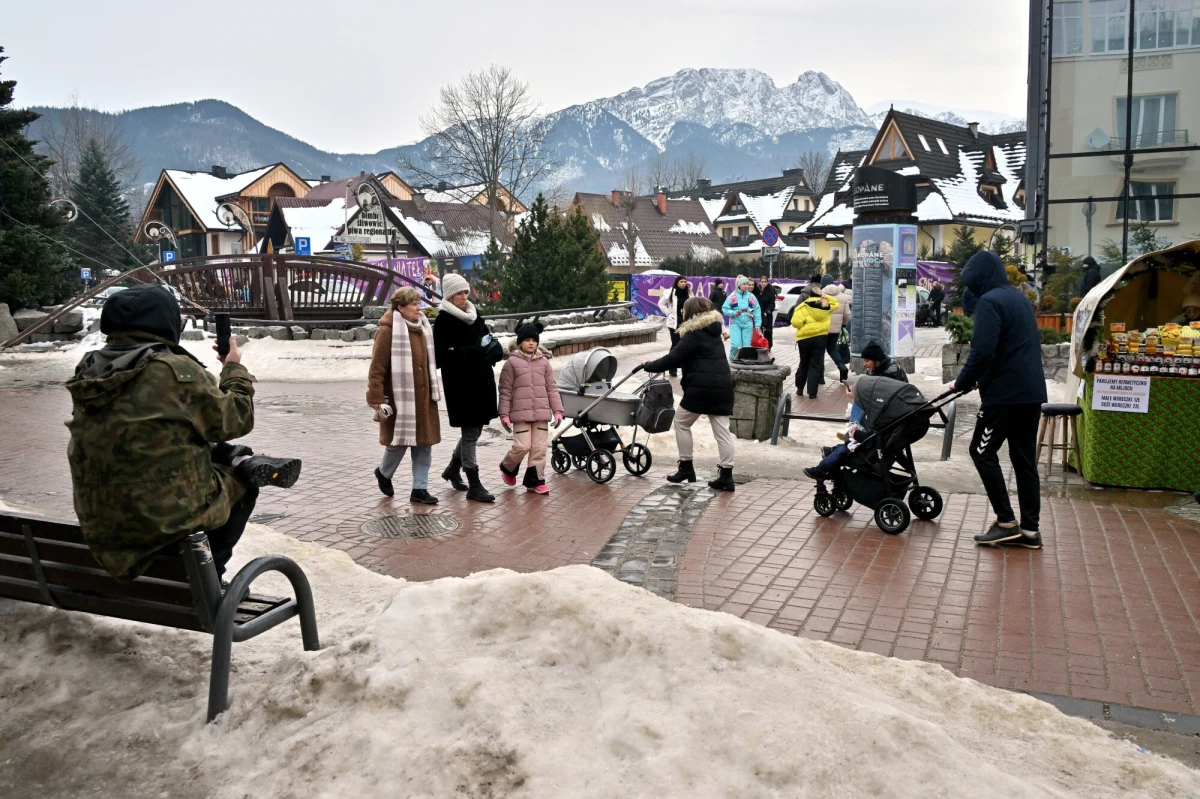"Nie podchodź! Nie dotykaj! Nie karm! Nie strasz! Nie próbuj płoszyć, nie spuszczaj psa ze smyczy" - zaapelowały władze Zakopanego do mieszkańców i turystów w związku z obecnością dzikich jeleni w mieście. Zwierzęta te, choć mogą wydawać się oswojone, są nieprzewidywalne i mogą stanowić zagrożenie dla ludzi.