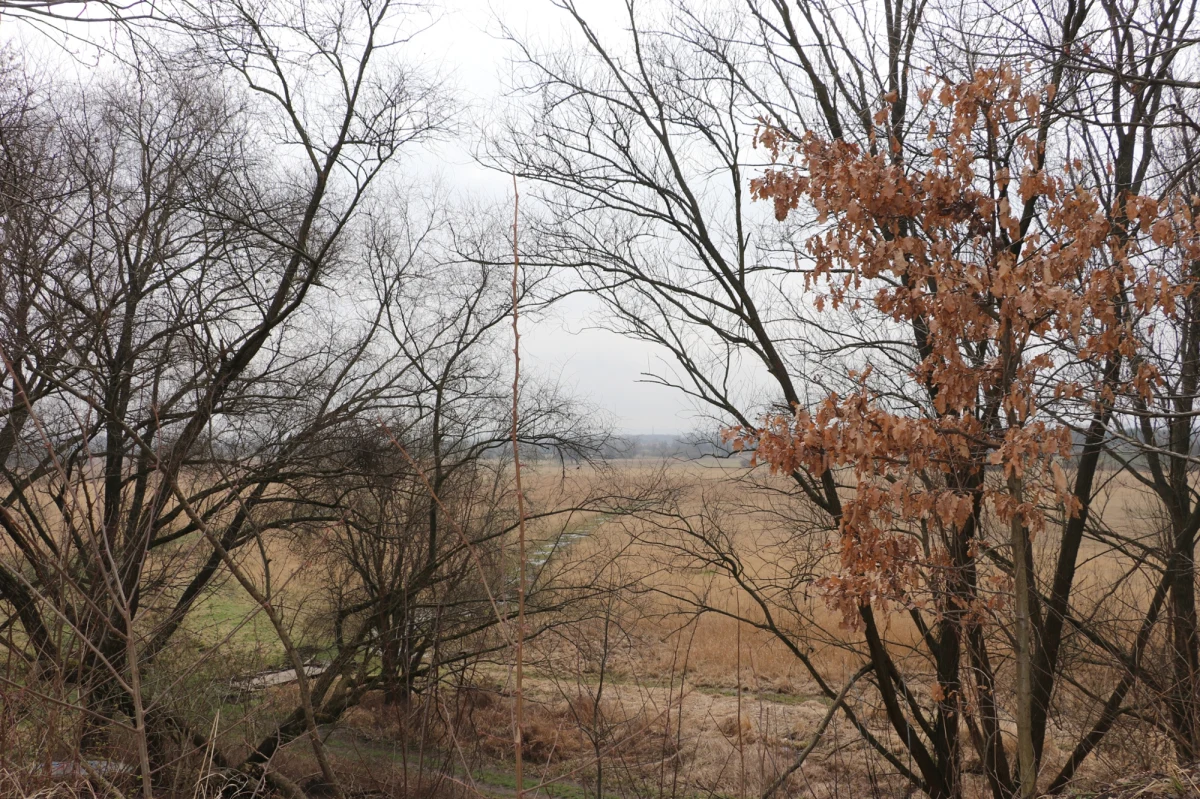 Łąki Nowohuckie będą miały nową małą, drewnianą architekturę. Pojawią się nowe ławki, pomosty widokowe, kładka i tablice informacyjne. Trwa przetarg Zarządu Zieleni Miejskiej na realizację zadań.