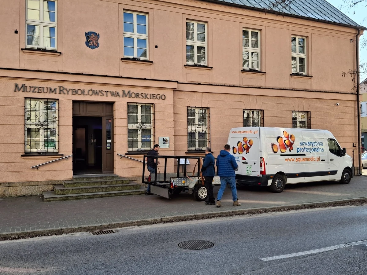 ​Nowy dom dla olbrzymiej piranii coraz bliżej. Do Muzeum Rybołówstwa Morskiego w Świnoujściu (woj. zachodniopomorskie) dotarły już części nowego akwarium dla 40-letniej Kaśki. Poprzedni zbiornik pękł, a wielką rybę, dumę muzeum, trzeba było ewakuować. 