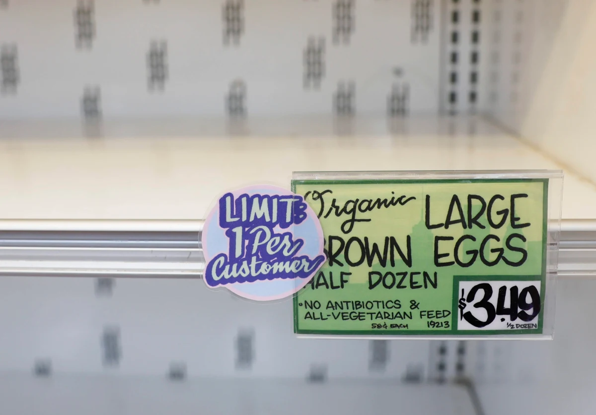 Polska nie wyśle jajek do Stanów Zjednoczonych, przynajmniej na razie - ustalił dziennikarz RMF FM Mateusz Chłystun. W ubiegłym tygodniu administracja USA zwróciła się do Krajowej Izby Producentów Drobiu i Pasz z prośbą o wsparcie dla amerykańskiego rynku spożywczego. Na przeszkodzie stoją procedury i brak konkretów po stronie amerykańskiej.