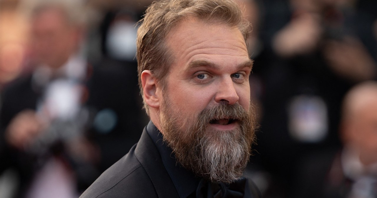 David Harbour zabiera głos w sprawie oskarżeń. Przypłacił je zdrowiem