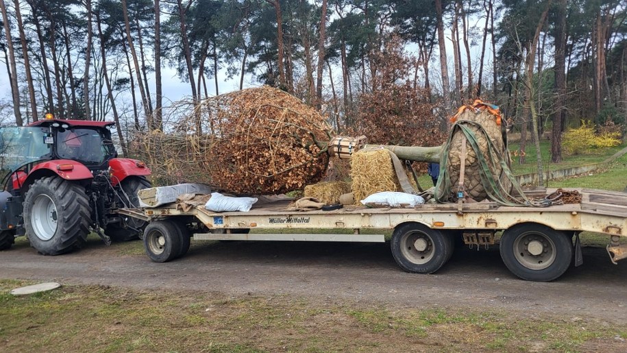 /Beniamin Kubiak-Piłat /RMF FM