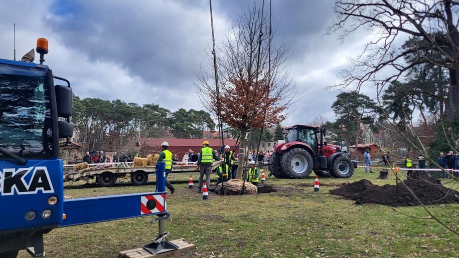 /Beniamin Kubiak-Piłat /RMF FM