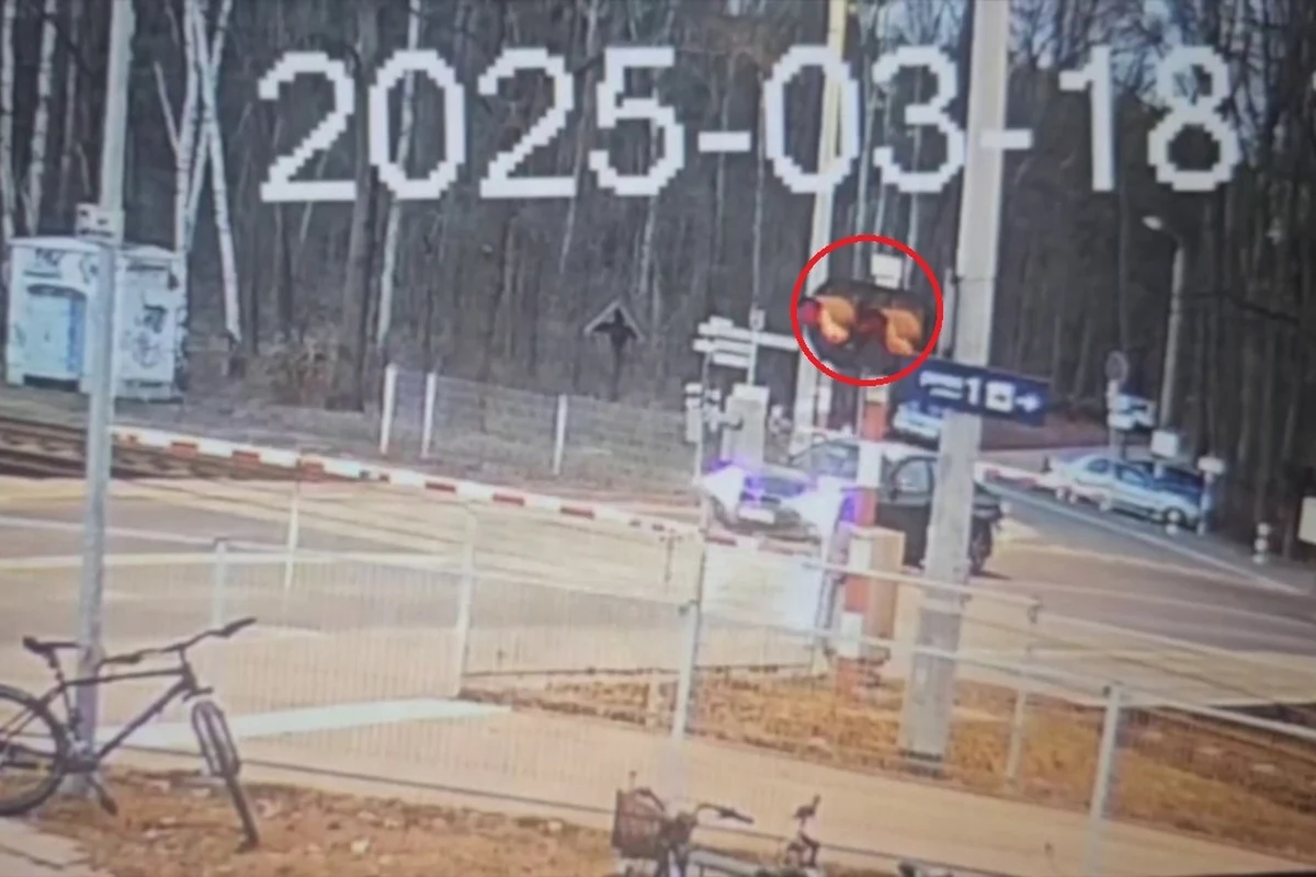 O włos od tragedii na przejeździe kolejowym w Zalesiu Górnym (w woj. mazowieckim) z powodu… miłości. 44-letni kierowca bmw zatrzymał się na przejeździe, by zrobić zdjęcie dla ukochanej. W pewnym momencie rogatki zaczęły się opuszczać. Jedną z nich wyrwał przypadkowy świadek. Tylko dzięki jego interwencji udało się uniknąć tragedii. 