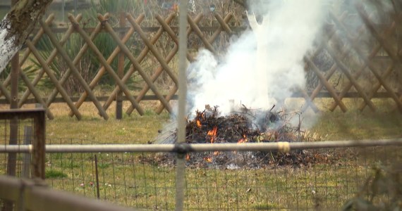 Działki ROD na wiosnę. Działkowicze podpowiadają, jakie prace wykonać