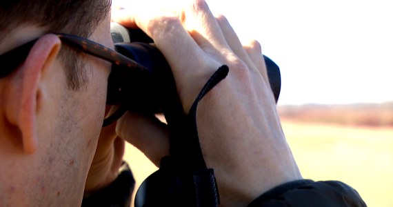 Dzikie ptaki latają nad Biebrzą tam i z powrotem. Co się dzieje?