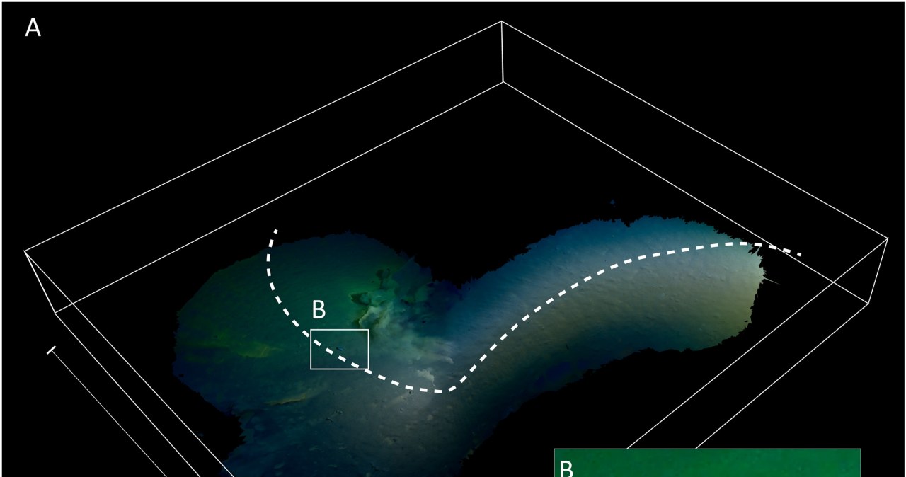 Niepokojące odkrycie w morskiej głębi. Nie powinno tego być