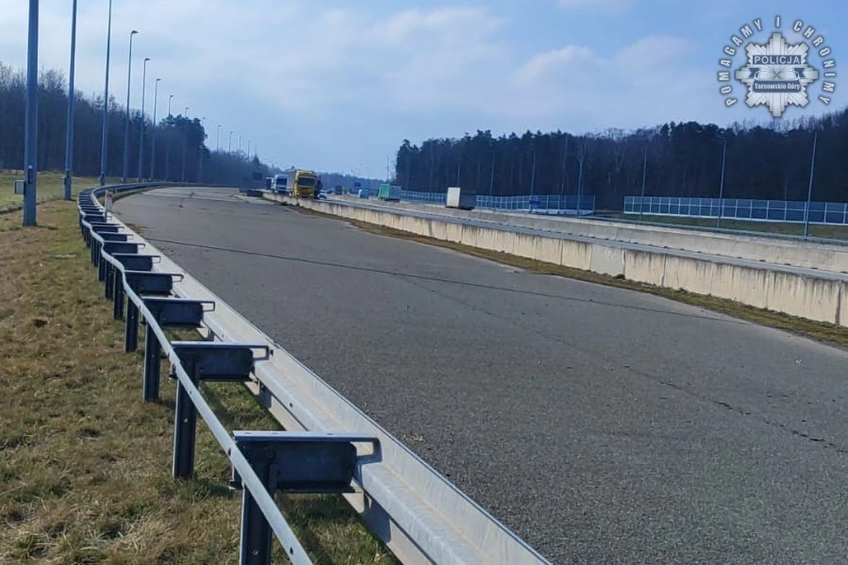 Policjanci z Tarnowskich Gór (Śląskie) poszukują złodziei, którzy ukradli przewody elektryczne ze słupów oświetleniowych na śląskim odcinku autostrady A1. Sprawcy uszkodzili w sumie 100 latarni. Straty oszacowano na co najmniej 100 tys. zł. 