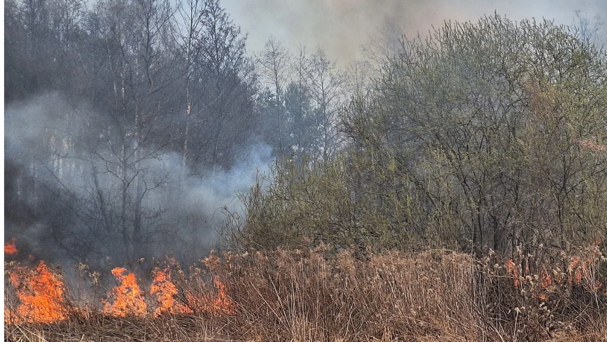 Pożar lasu na powierzchni około 15 hektarów wybuchł w miejscowości Podlesie w pow. staszowskim (woj. świętokrzyskie). W działaniach brało udział 20 strażackich zastępów, a także samolot dromader z Lasów Państwowych wykonujący zrzuty wody na ogień.