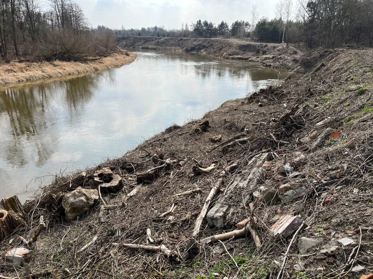 Okazałe stare drzewa porastające brzeg Bugu były naturalną ozdobą działki kupionej przez mężczyznę, który dostrzegł w tym miejscu potencjał na turystyczną atrakcję. Ale drzewa, bez jego zgody i bez uprzedzenia, zostały wycięte pod budowę elektronicznej zapory na granicy z Białorusią.