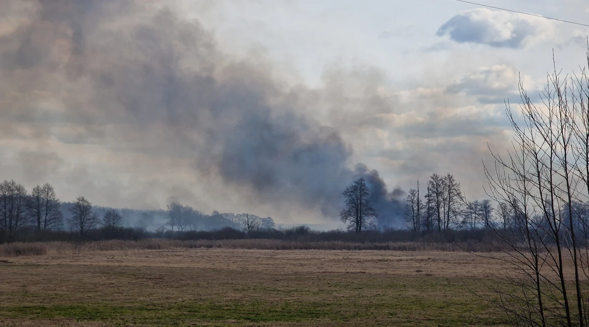 Strażakom udało się opanować pożar w Biebrzańskim Parku Narodowym. W niedzielę ok. godz. 15 ogień pojawił się w pobliżu miejscowości Krasnybór w powiecie augustowskim (województwo podlaskie). Spaliło się prawie 100 hektarów traw i trzcinowisk.