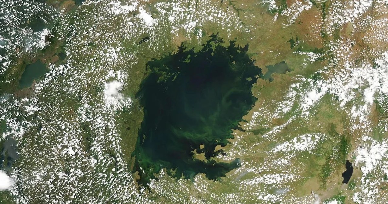 Największe tropikalne jezioro zrobiło się zielone. Grozi zatrucie