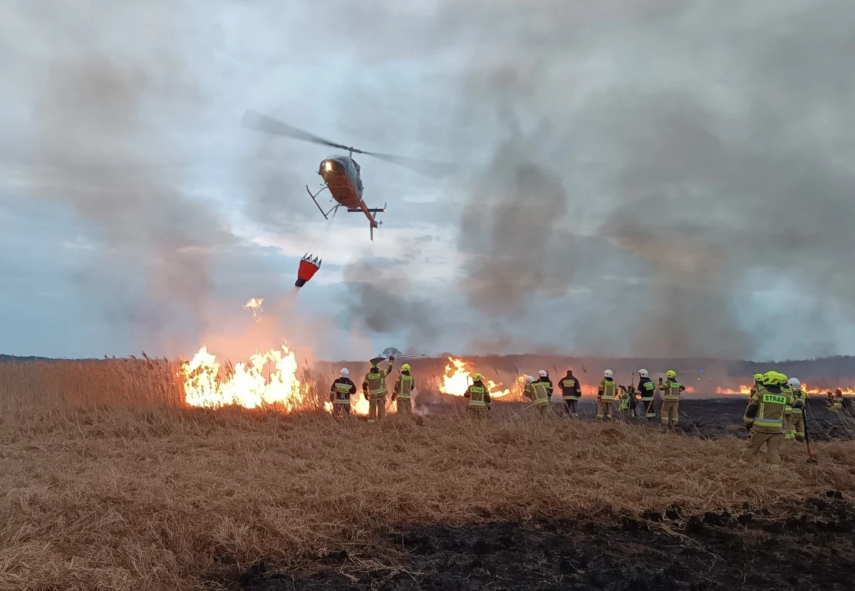 Gdy policja ustala przyczyny pojawienia się ognia w Biebrzańskim Parku Narodowym, jego dyrekcja szacuje straty w przyrodzie. "To bardzo suchy rok i wciąż apelujemy, żeby nie wypalać traw, bo może powtórzyć się historia sprzed pięciu lat" - mówi dyrektor BPN Artur Wiatr.