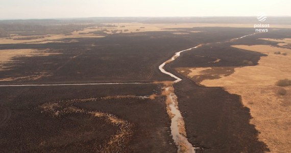 "Wydarzenia": Potężny pożar na terenie Biebrzańskiego Parku Narodowego