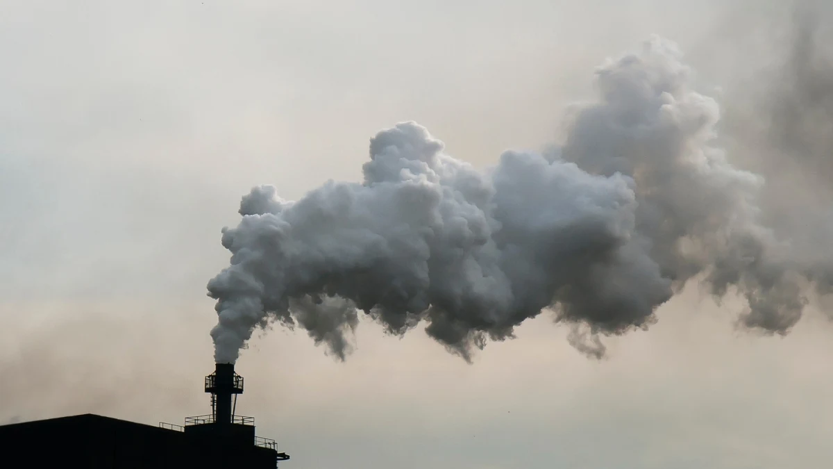 Po czterech miesiącach przerwy program antysmogowy "Czyste Powietrze" rusza w nowej odsłonie. Beneficjenci mogą uzyskać wsparcie na termomodernizację domu i wymianę źródła ciepła na bardziej ekologiczne, ale bez dotacji do pieców gazowych. "Odcięcie Polaków od tych dotacji było dużym błędem także pod kątem jakości powietrza" - mówi w rozmowie z Tomaszem Weryńskim na antenie Radia RMF24 Anna Dworakowska, zastępczyni prezesa Stowarzyszenia Alarm Smogowy.