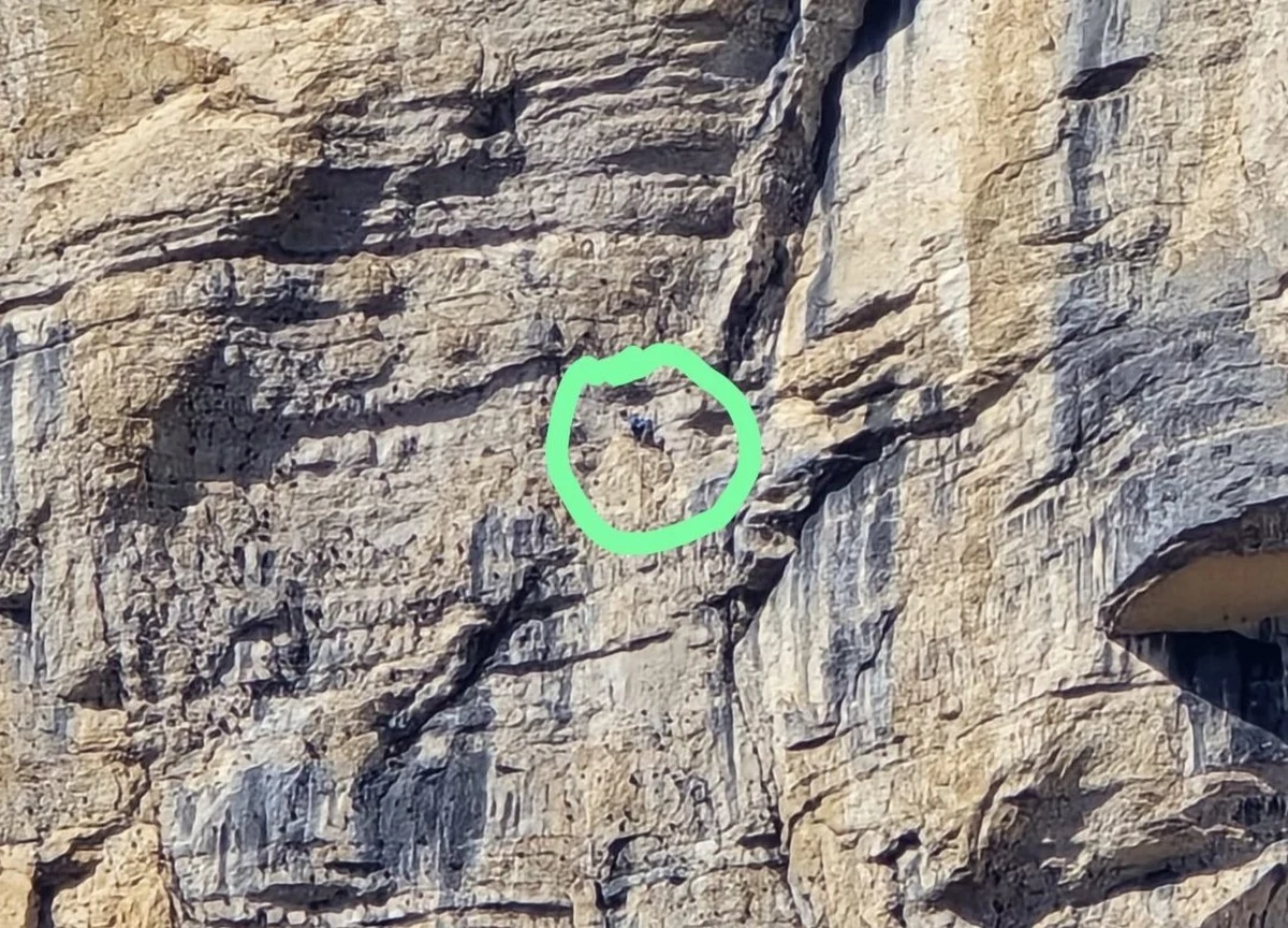 Do poważnego wypadku doszło wczoraj u stóp Monte Brento we Włoszech, gdzie 33-letni austriacki alpinista spadł z wysokości około dziesięciu metrów. Na miejsce szybko dotarł zespół ratowników alpejskich, którzy przez 11 godzin mierzyli się z trudnym terenem i silnym wiatrem.