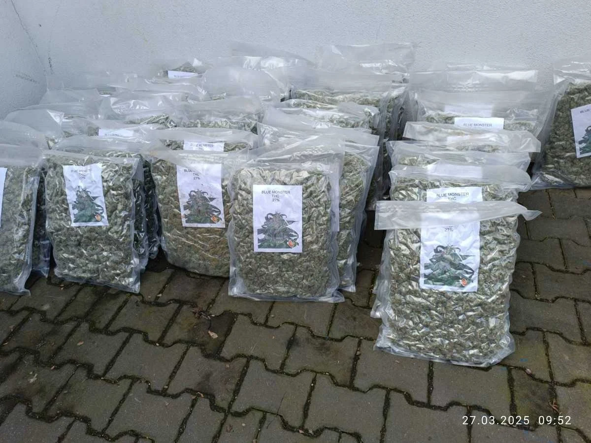 Gang narkotykowy z Wielkopolski rozbity. Poznańscy policjanci przejęli w sumie ponad 270 kg marihuany i mefedronu o czarnorynkowej wartości 13 mln zł. Zatrzymano cztery osoby, którym grozi do 12 lat więzienia - poinformowały we wtorek policja i prokuratura.