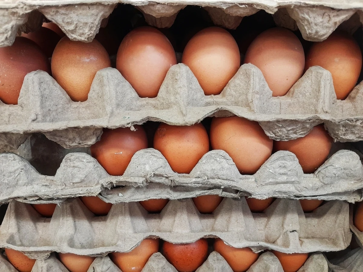 Wielkanoc wypada w tym roku 20 kwietnia. Ile zapłacimy za jajka, które są jednym z symboli świąt i nieodłącznym elementem wielkanocnego śniadania? W Radiu RMF24 Piotr Salak rozmawiał o tym z wiceministrem rolnictwa i posłem Polskiego Stronnictwa Ludowego Stefanem Krajewskim. 