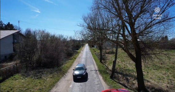 "Wydarzenia": Unikatowa aleja grusz. Mieszkańcy i konserwator zabytków chcą pomnika przyrody