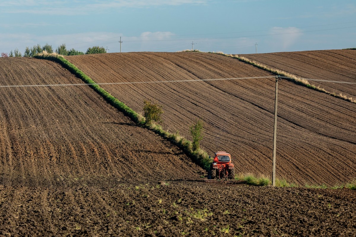 Zagrożone plony. Rolnicy załamani