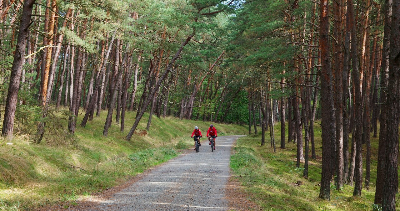 Wybierz się na rower, nim skończą się wakacje. To najlepsza trasa rowerowa na Śląsku