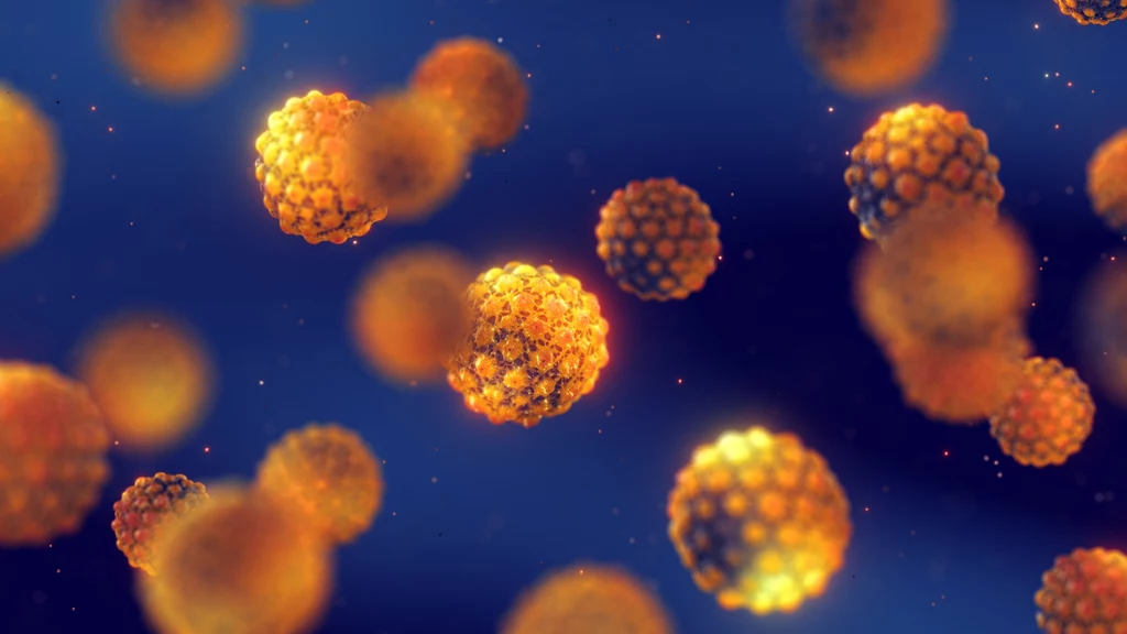 Wirus HPV