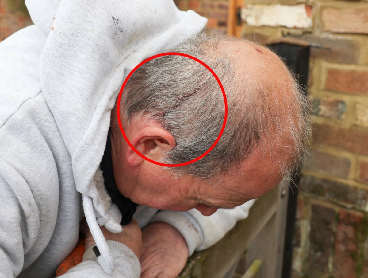 Mieszkańcy malowniczej wioski w północno-zachodniej Anglii odetchnęli z ulgą. Jastrząb, który terroryzował ich od miesiąca, został schwytany. 