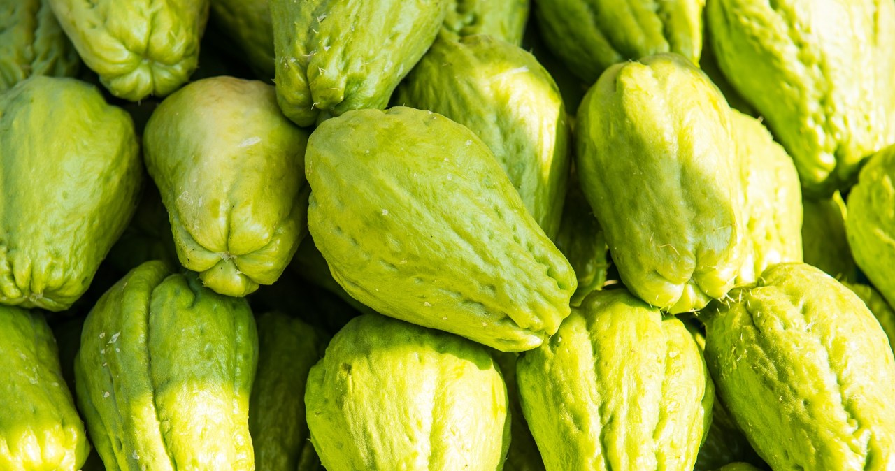 Poprawia status antyoksydacyjny, wspomaga jelita, chroni wątrobę. Jedz na diecie