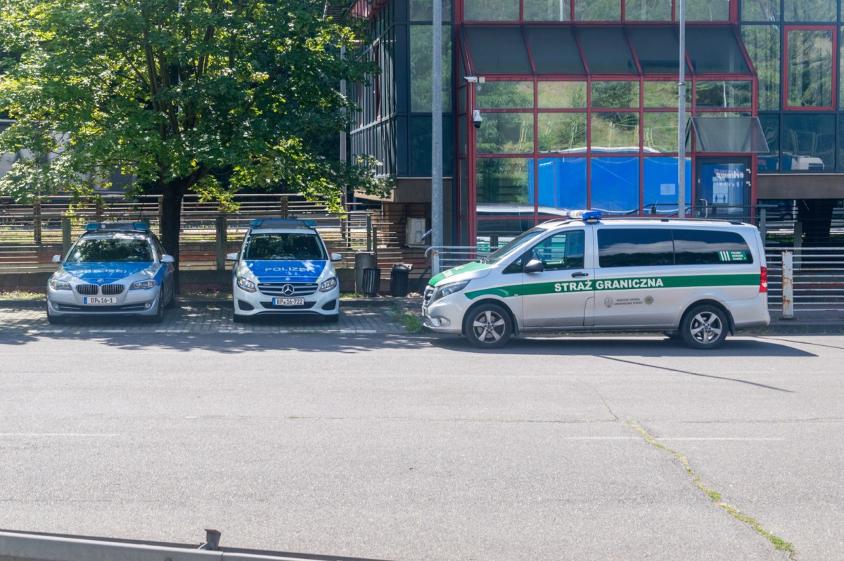 Wznowione kontrole na granicy. Polska zabezpiecza się przed pryszczycą