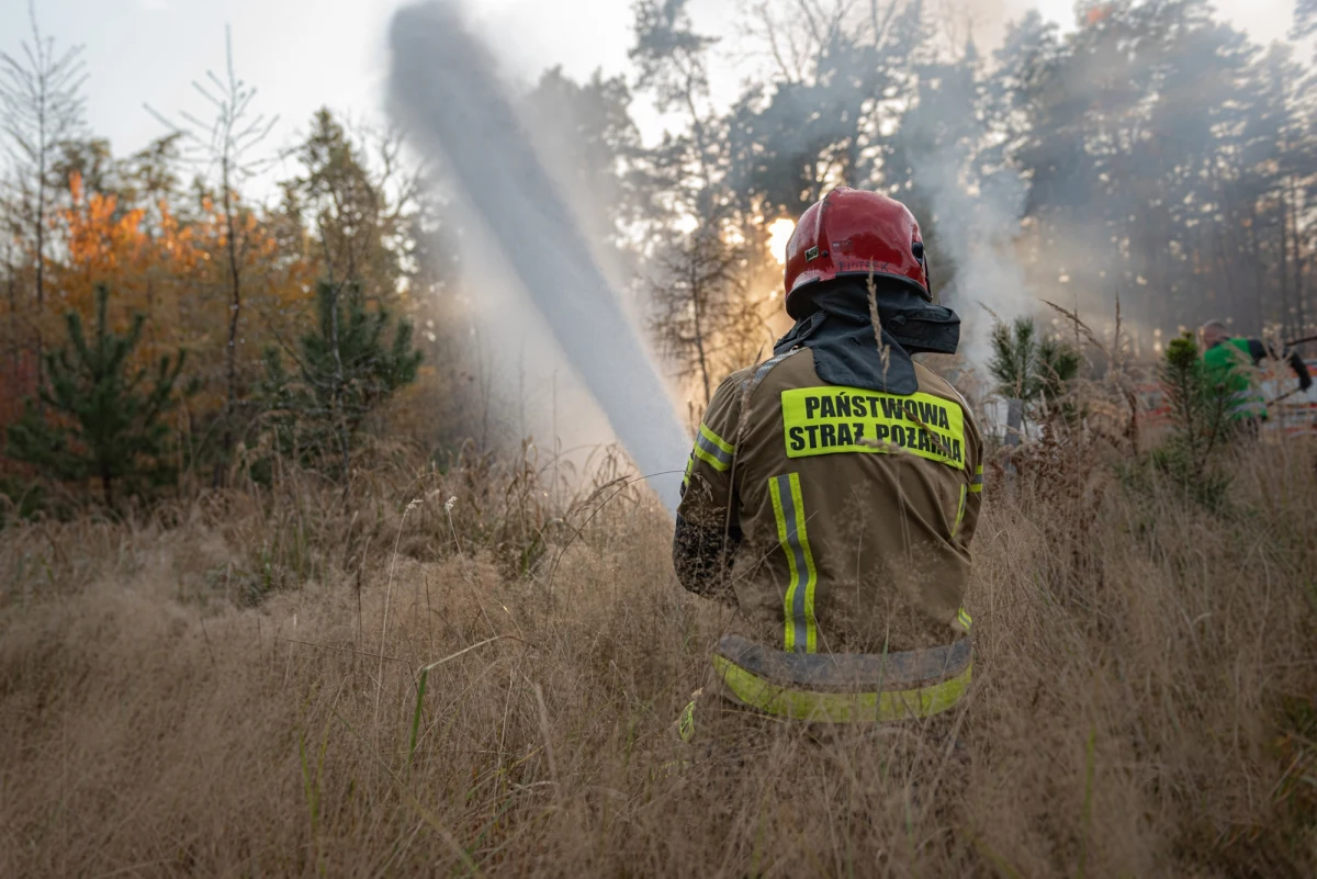 Ponad 80 strażaków walczy w piątkowe popołudnie z pożarem traw na Mazowszu. Zapaliło się ok. 10 hektarów nieużytków.