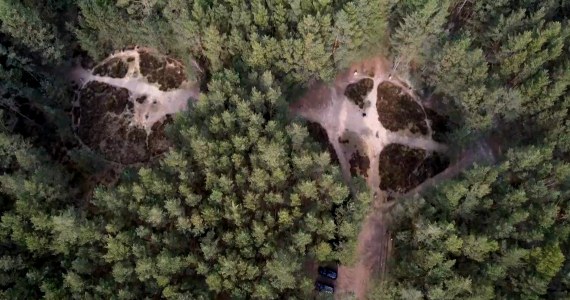 Zadziwiające kamienne kręgi w Polsce. Mają magiczną moc