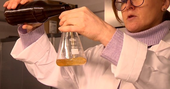 Wynalazek Polaków. Napój lepszy niż kombucha