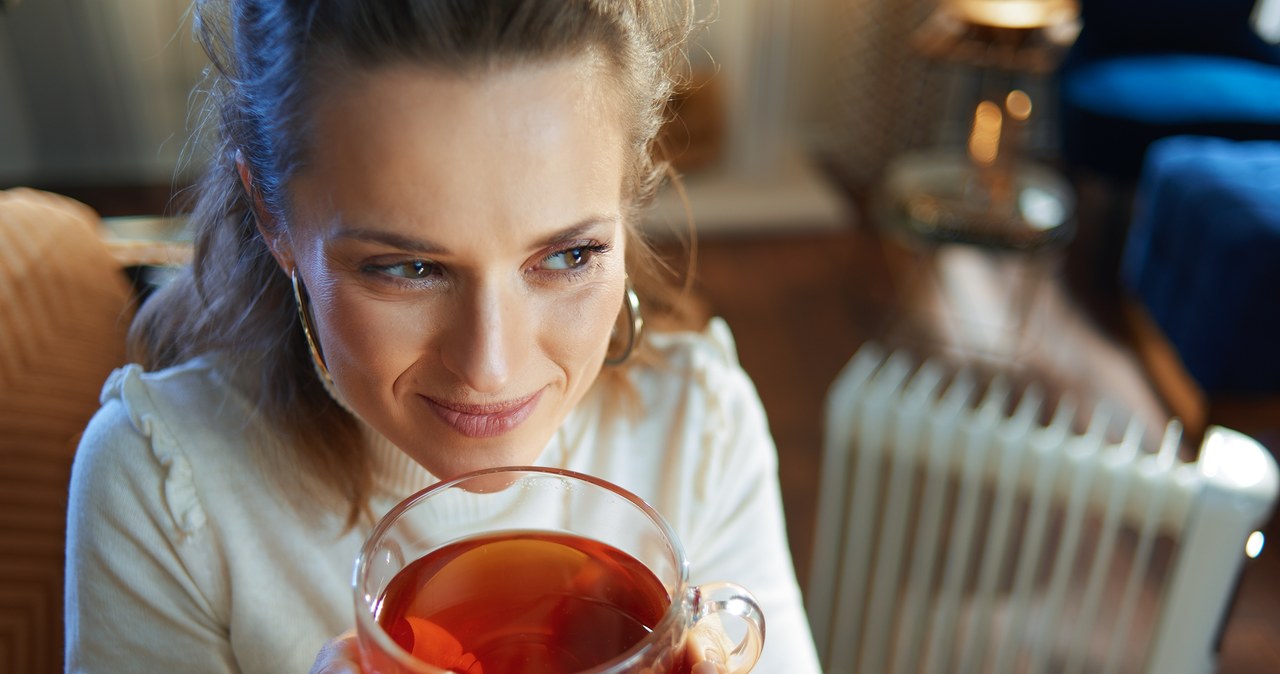 Afrykański sekret zdrowia ma smak miodu. Odkryj niezwykłe adekwatności herbaty Honeybush