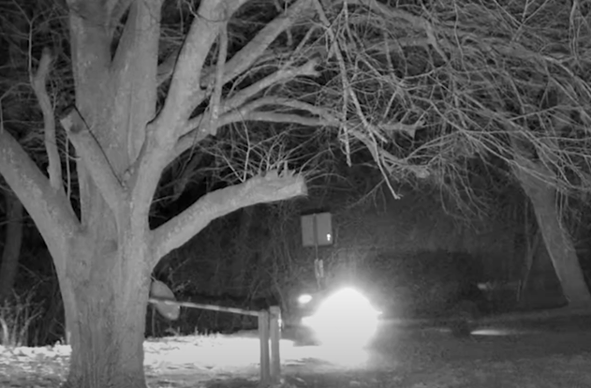 Szlaban na granicy nie dla niego! Zobacz, co zrobił pijany 44-latek