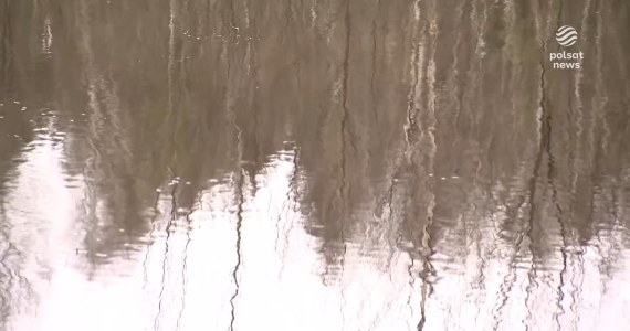 "Wydarzenia": Przełom ws. makabrycznej zbrodni