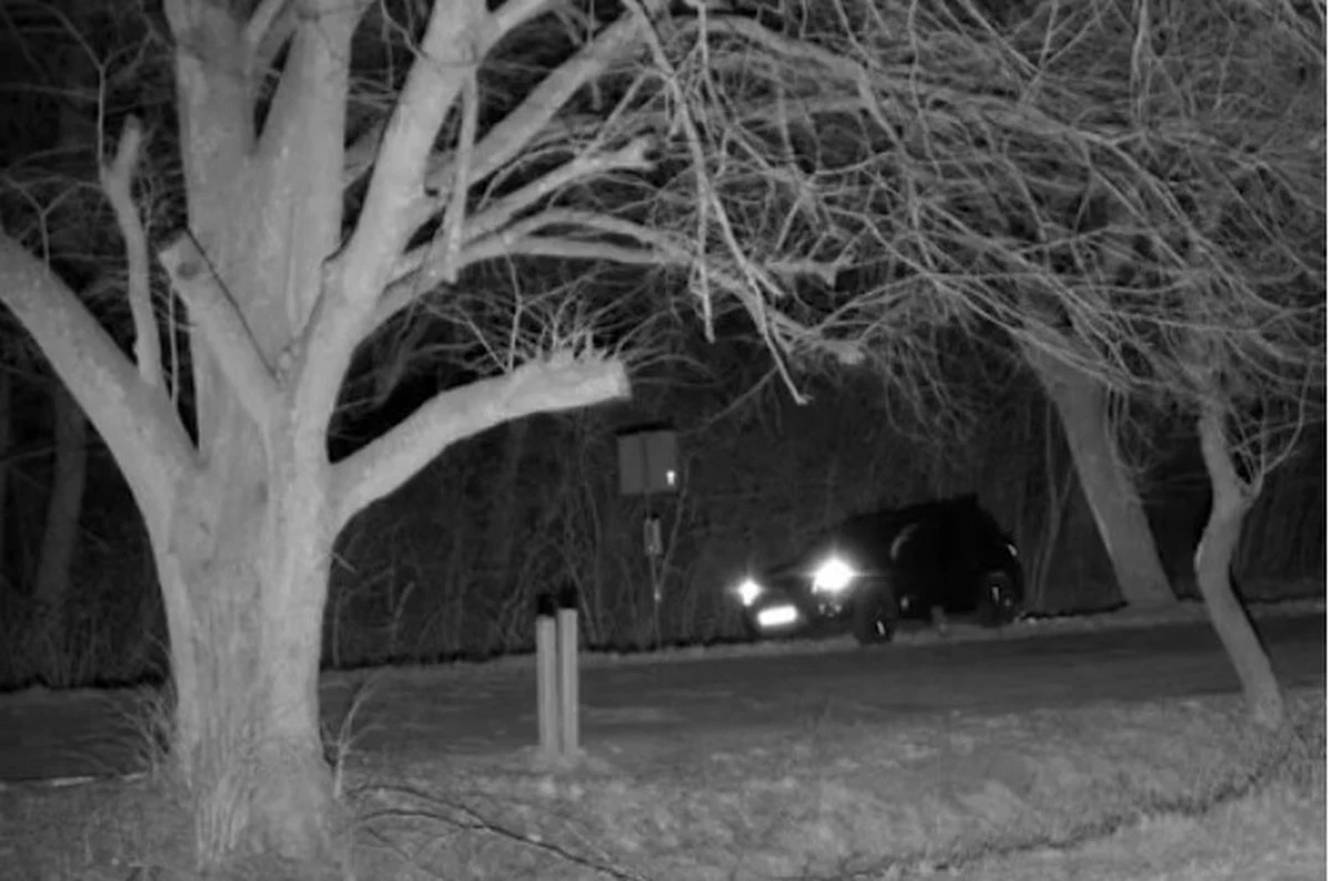 Kamery warmińsko-mazurskiej straży granicznej zarejestrowały kierowcę samochodu osobowego, który staranował szlaban na granicy. Jak się okazało, mężczyzna był pijany.