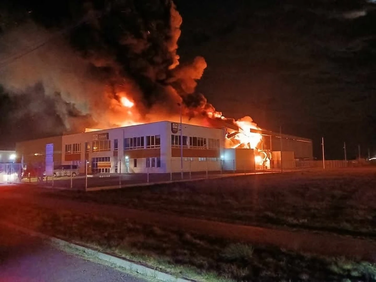 Strażacy dogaszają pożar hali magazynowej w Natolinie na Mazowszu. Ogień pojawił się tam przed godziną drugą w nocy.