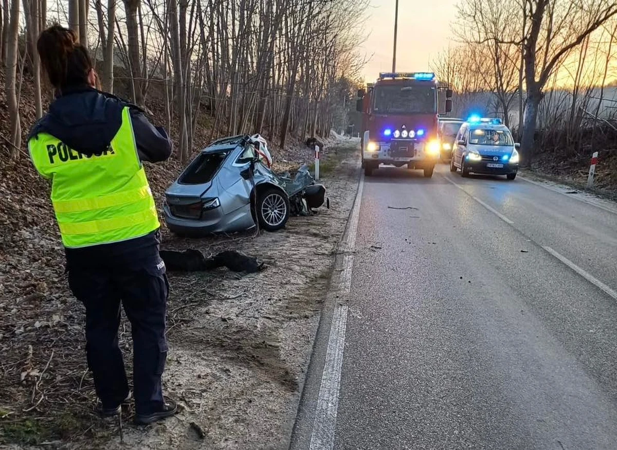 We wtorek w nocy, nieco przed trzecią rano, przy ulicy Wejherowskiej w Sopieszynie w Pomorskiem doszło do tragicznego wypadku. 36-letni mężczyzna kierujący audi zjechał z drogi i uderzył w przydrożne drzewo. Nie przeżył.