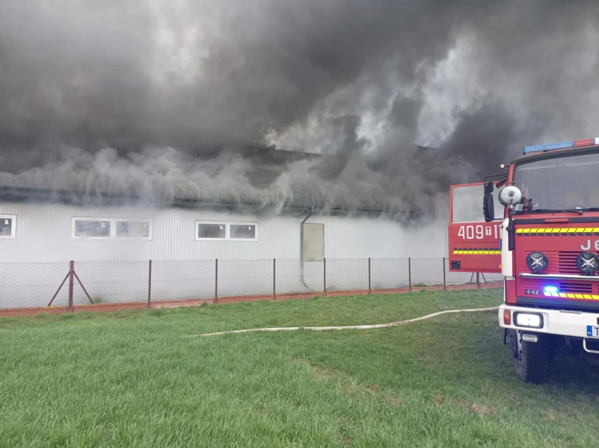 Do pożaru hali malarskiej o powierzchni około 500 m kw doszło w Ludwinowie w woj. świętokrzyskim. Na szczęście nikt nie ucierpiał – pracownicy ewakuowali się jeszcze przed przybyciem służb.