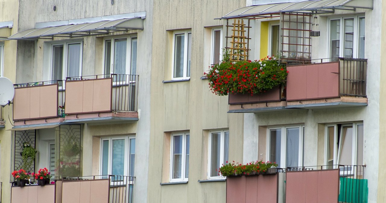 Mandat za kwiaty na balkonie to nie żart. Możesz stracić 500 zł, a choćby więcej