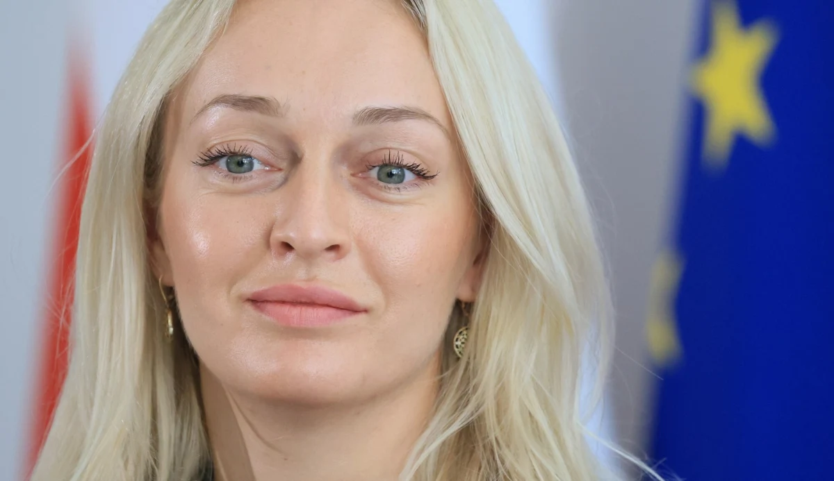 W połowie marca z serwerów białoruskiej Rady Koordynacyjnej z konta przewodniczącej Anżeliki Mielnikawej pobrano wszystkie dokumenty, do których miała dostęp w ramach pracy w tej opozycyjnej organizacji. Taką informację przekazała pełniąca obowiązki szefowej Rady Stanisława Glinnik. Stanęła na czele organizacji po tajemniczym zaginięciu Mielnikawej. 