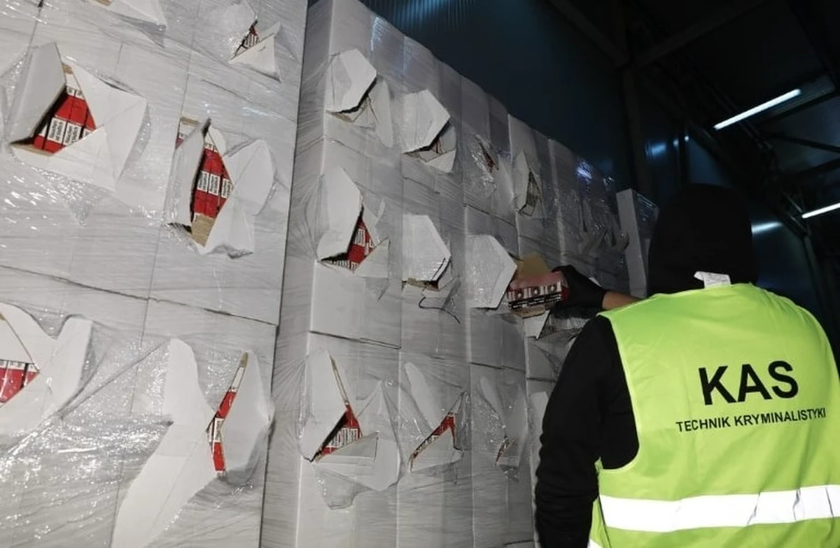 Podczas rutynowej kontroli na dolnośląskim odcinku autostrady A4 funkcjonariusze Służby Celno-Skarbowej oraz straży granicznej natrafili na olbrzymi przemyt. W naczepie ciężarówki ukryto aż 7 mln szt. papierosów bez polskich znaków akcyzy. Ich czarnorynkowa wartość to blisko 8,5 mln zł. Kierowca pojazdu, 33-letni Polak, został zatrzymany i usłyszał zarzuty paserstwa.