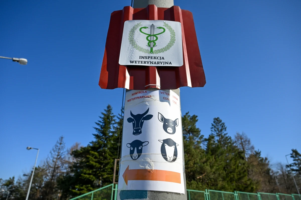 W Polsce nie ma wirusa pryszczycy, a sytuacja epidemiologiczna Słowacji i Węgier nie zmienia się od ubiegłego tygodnia - przekazało w najnowszym komunikacie Ministerstwo Rolnictwa i Rozwoju Wsi. Resort przestrzegł jednocześnie przed zakupem w internecie fałszywych szczepionek.