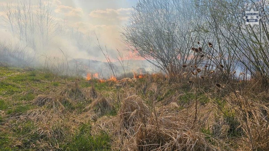 /Policja Bieruń /Policja